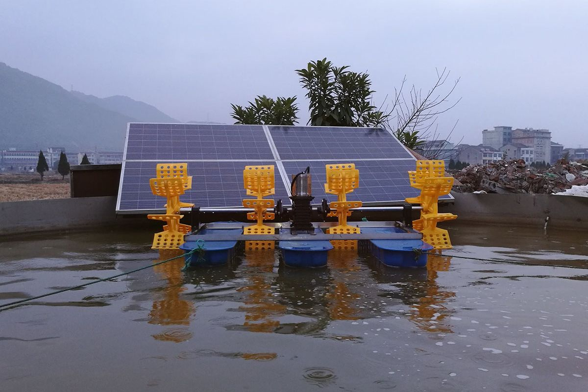 Khí oxy trong nuôi thủy sản