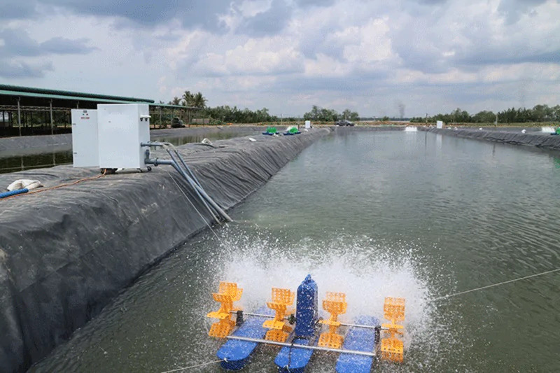 Khí oxy trong nuôi thủy sản