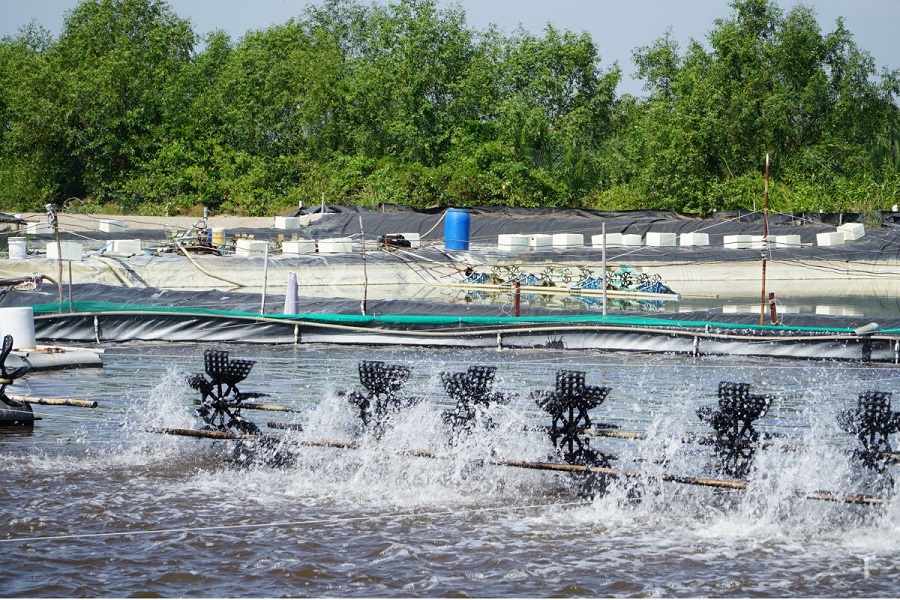 Khí oxy trong nuôi thủy sản